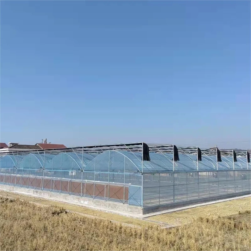 Arch Type Multi-span Greenhouse