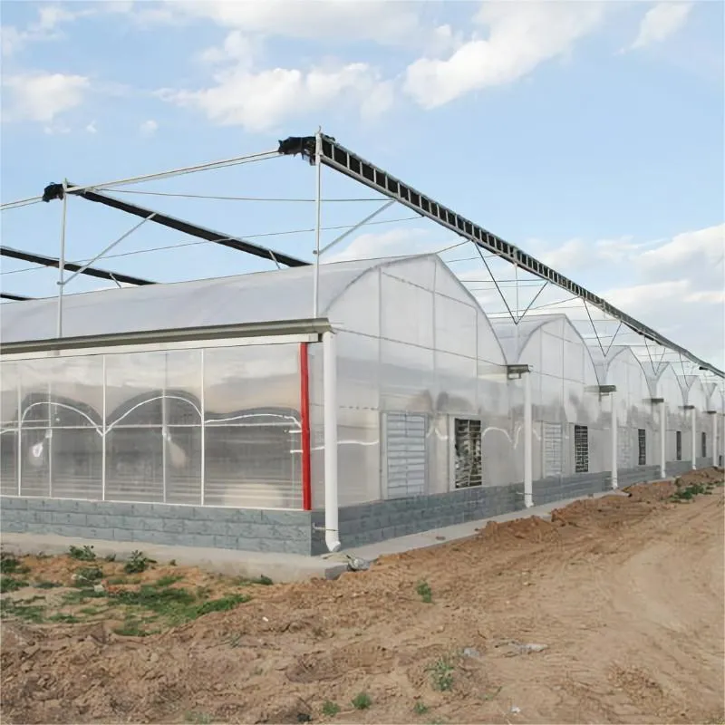 Multi Span Film Steel Structure Greenhouse