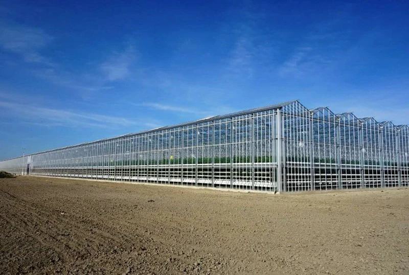 product-800-538