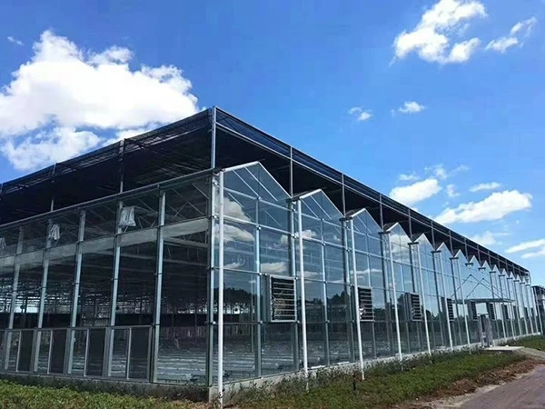 product-600-450 product-600-450