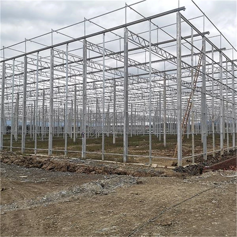 Steel Galvanized Multi Span Greenhouse
